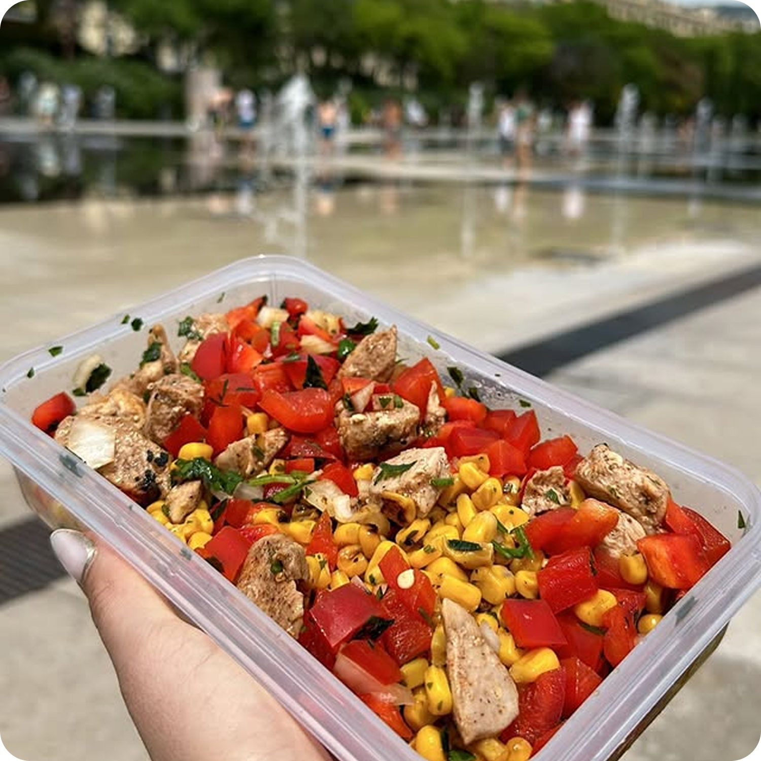 shutterstock_2320266827 1